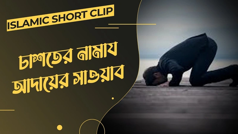 Chashter Namaz Adayer Sawab - চাশতের নামায আদায়ের সাওয়াব